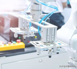 全國(guó)首部地方性化妝品法規(guī)出臺(tái) 品牌如何在法規(guī)背景下選擇優(yōu)質(zhì)寵物用品工廠