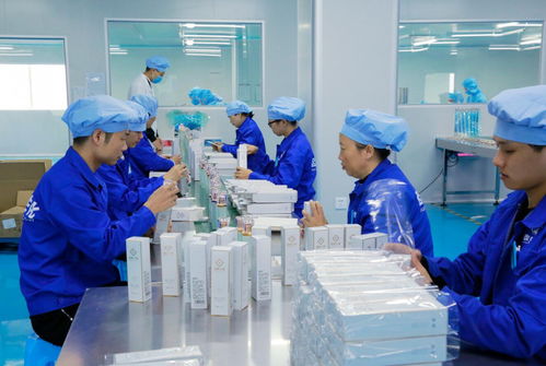 軒蔻化妝品與極蕊品牌代理 專(zhuān)業(yè)合作的機(jī)遇與前景